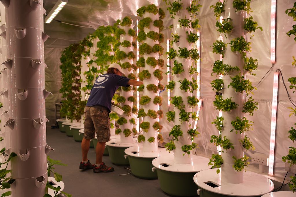 Vertical farming towers with fresh lettuces growing under LED lighting inside a BlaqCat Agri Data Hub