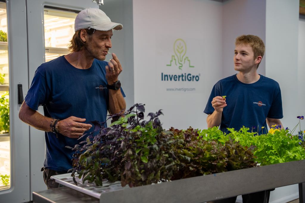 Two growers checking fresh herbs inside a climate-controlled vertical farm unit