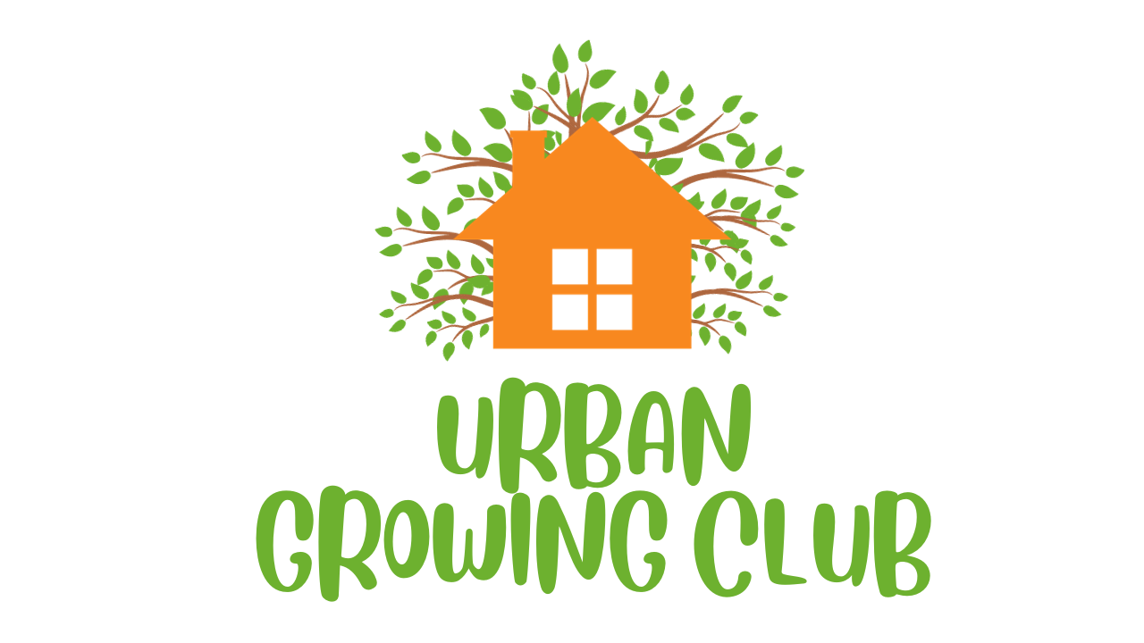 Urban Growing Club