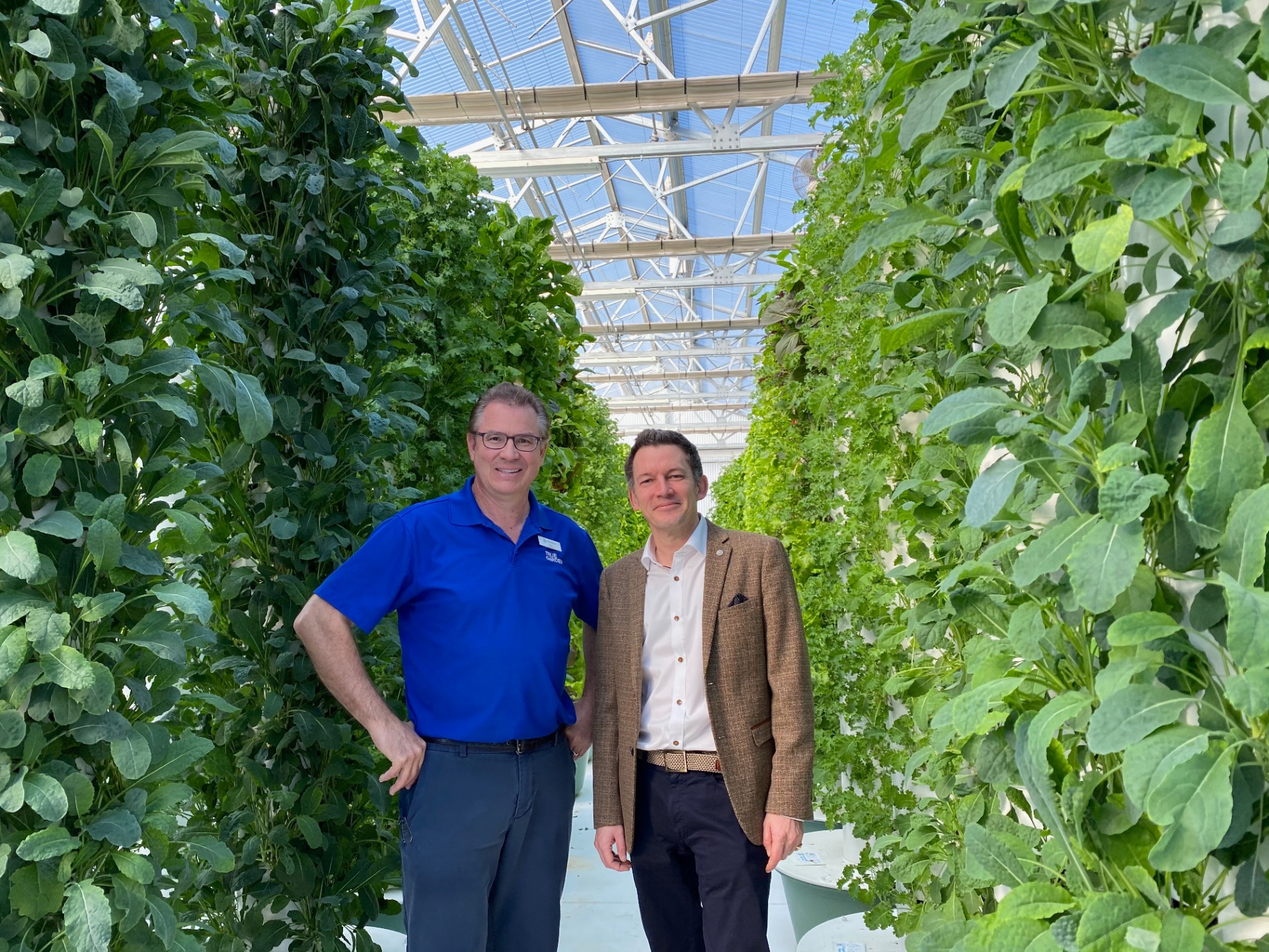 Two people standing between tall vertical growing towers in a bright greenhouse