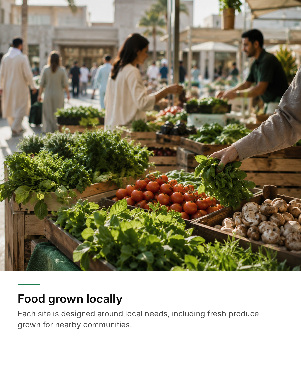 Food grown locally — fresh produce grown for nearby communities.